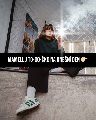 Tvoje ToDo na dnešní den 🫶🏼 #Mamellu #RelaxVibes #ČistýProstor #Očista #PozitivníEnergie #Vykuřování #NewAgeEzo #SelfLove...